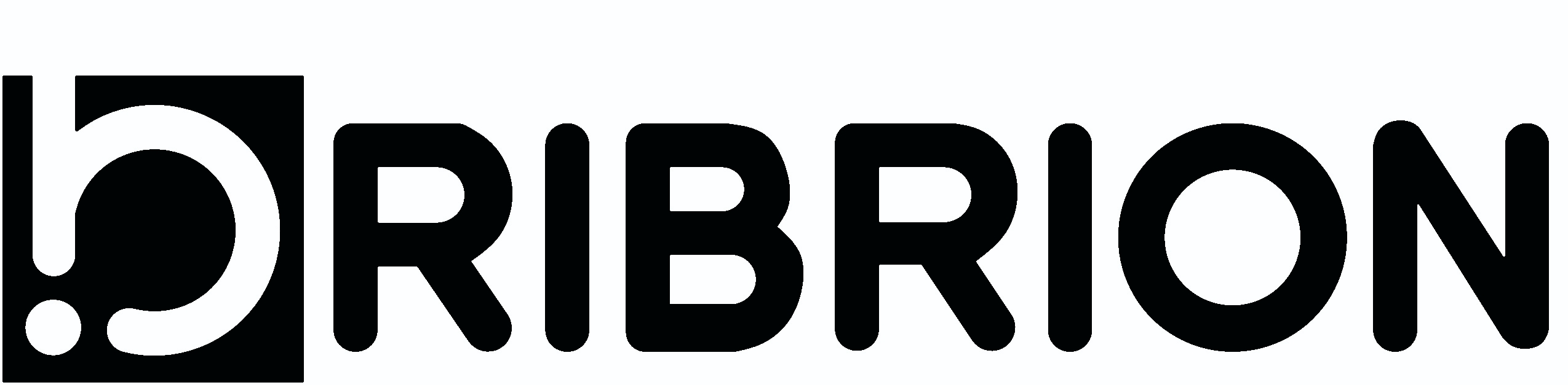 BRIBRION