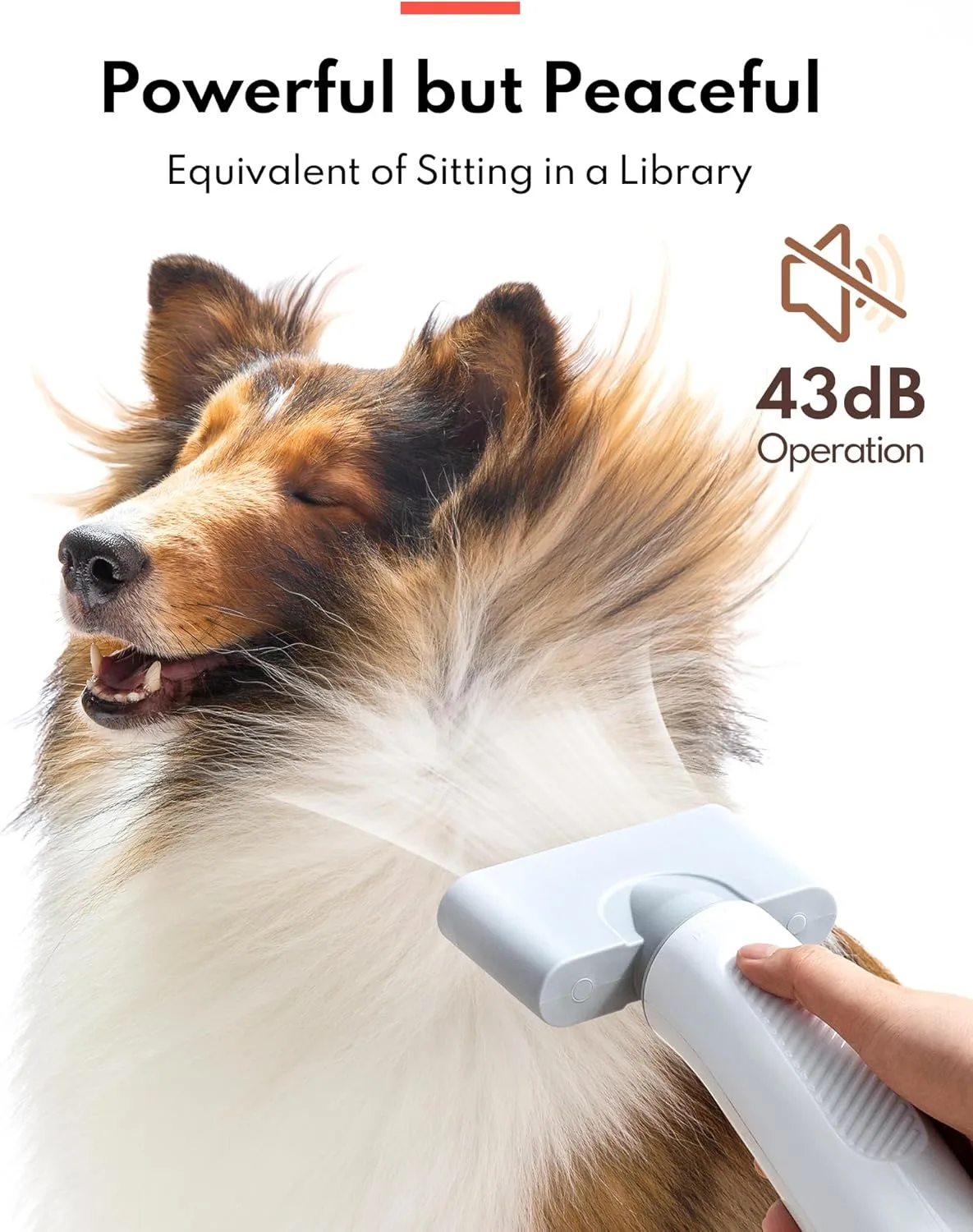 homerunpet-pd10-pet-hair-dryer-quiet-powerful-grooming-mastered