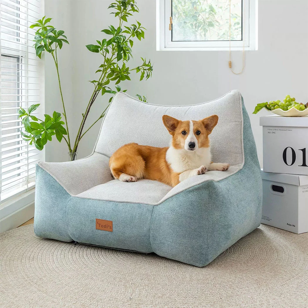 tedi-s-pet-sofa-inflatable-dog-bed-comfort-meets-convenience