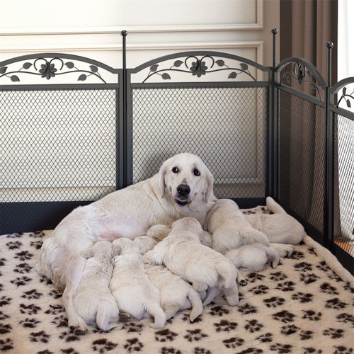 XXL Safety Dog Whelping Pen Box Pet Birth Kennel w Waterproof Soft Fertility Mat